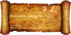 Haluska Levente névjegykártya