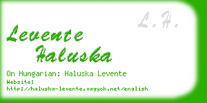levente haluska business card